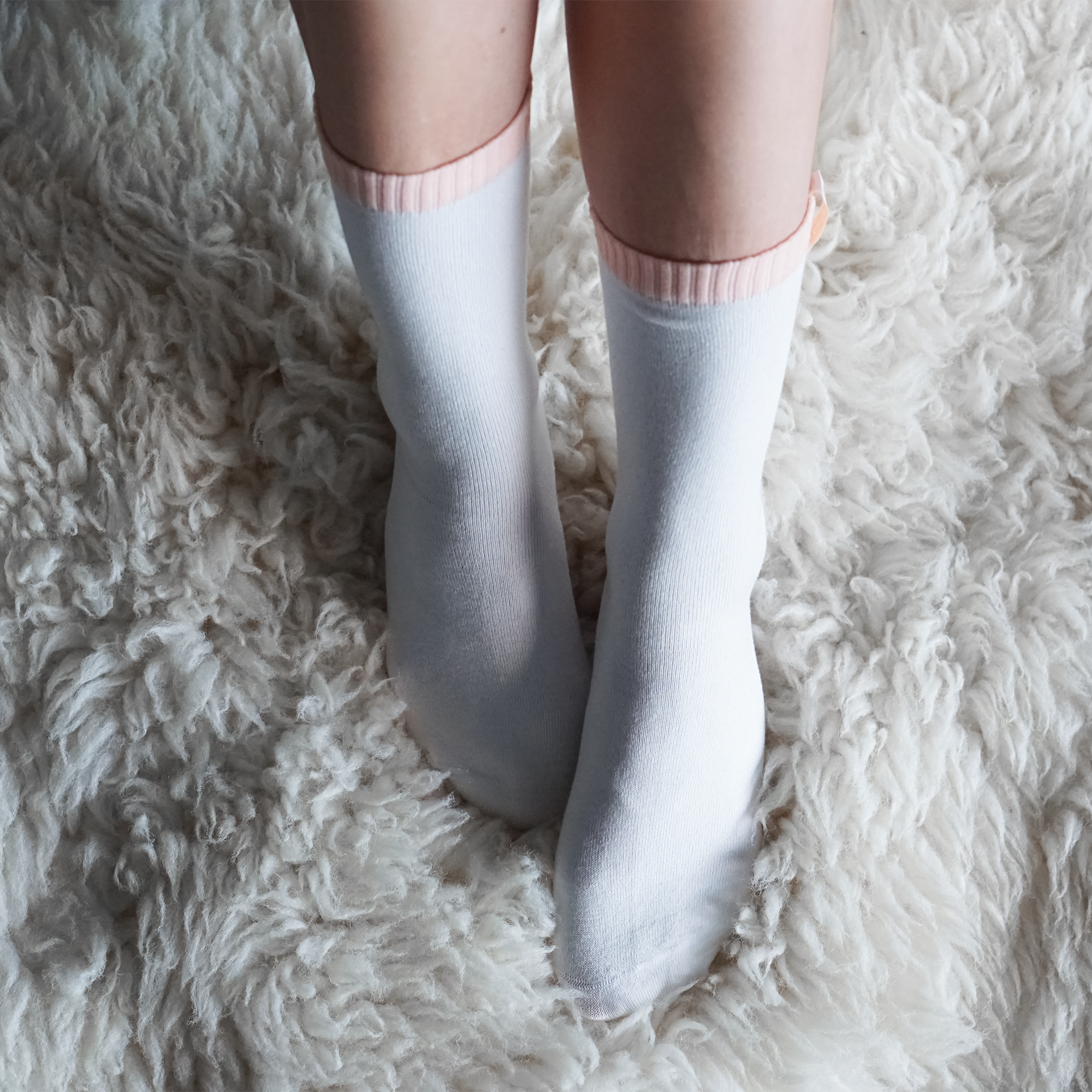 Dreamsocks | Wit